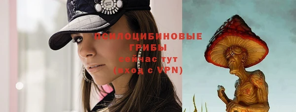 ГАЛЛЮЦИНОГЕННЫЕ ГРИБЫ Абинск