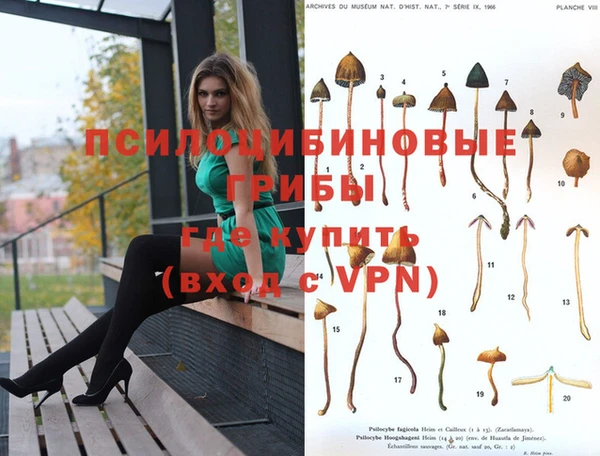 ECSTASY Абдулино